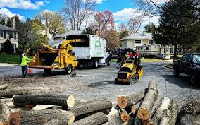 Yorkville, NY Tree Removal Company