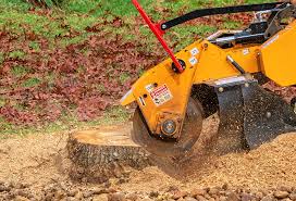 Best Tree Removal  in Yorkville, NY