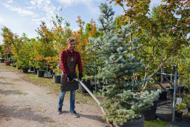 Lawn Maintenance Plans in Yorkville, NY